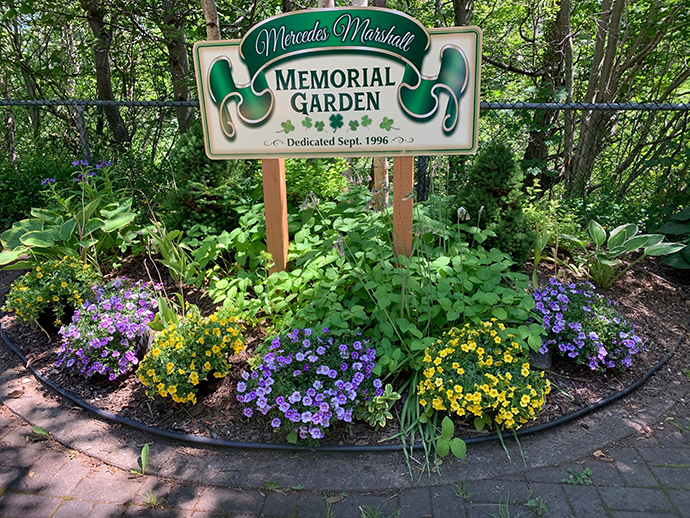 st pats Flowers 3